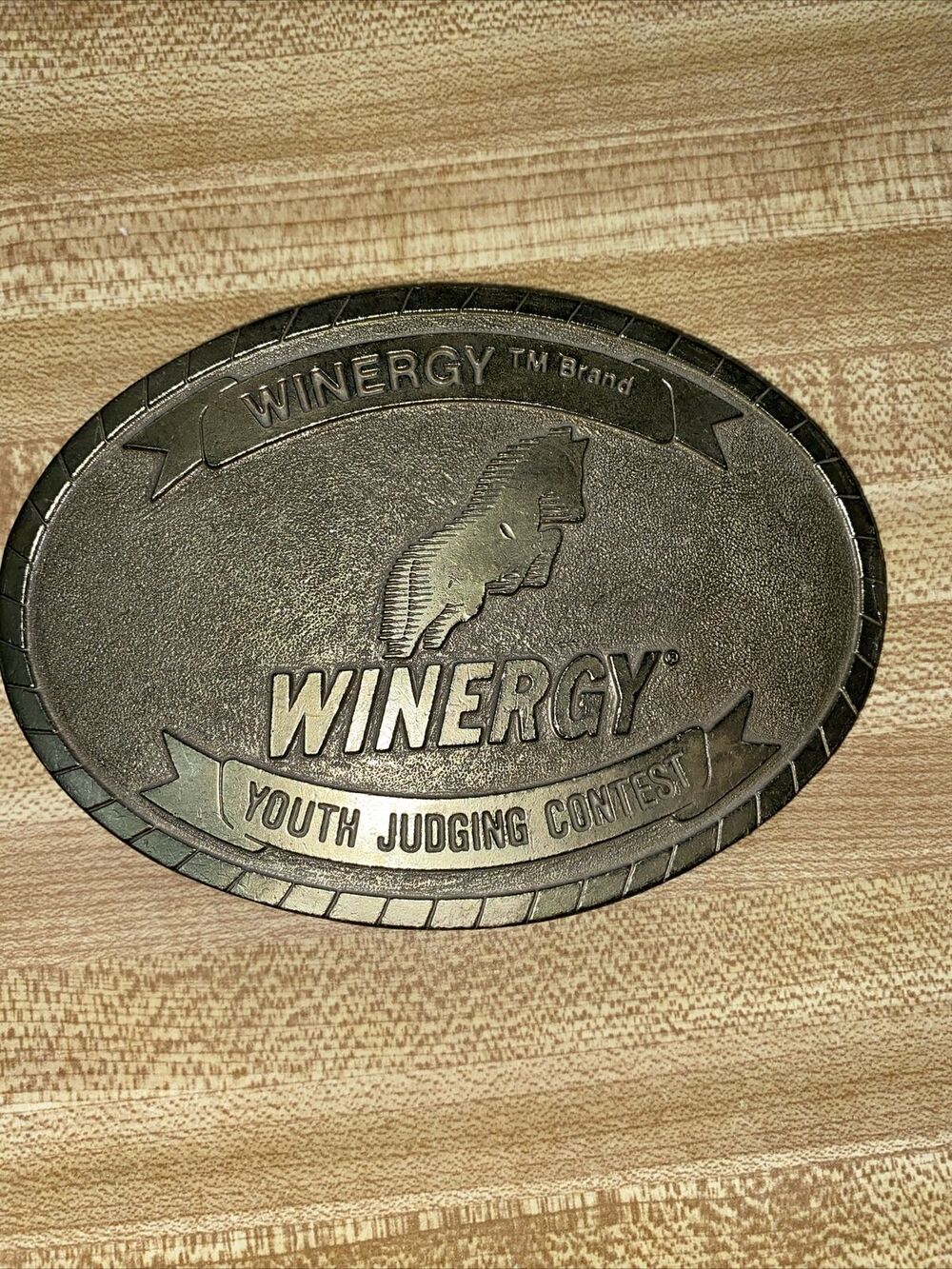 1992 Colorado Silver Star Oval Brass Belt Buckle Youth Judging Contest Winergy